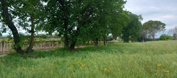 Земельный участок 16000м² в Ортона, Италия № 93939 4