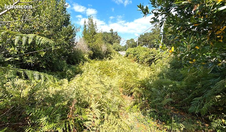 Terreno en Labenne, France No. 315592