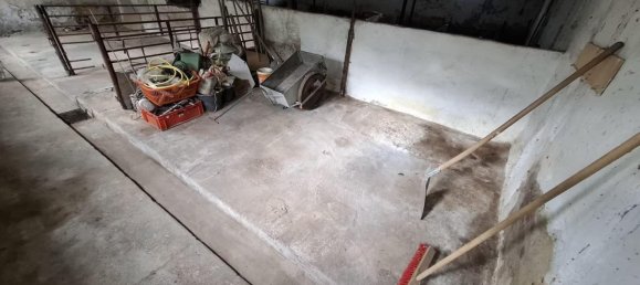 4 غرف نوم منزل في Mitte, Germany رقم 361571 7