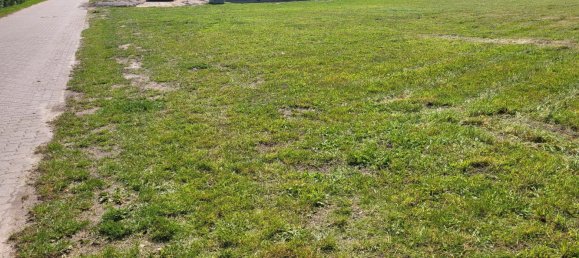  Land in Vorpommern-Rugen, Germany No. 346652 6