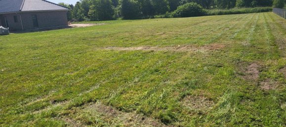  Land in Vorpommern-Rugen, Germany No. 346652 8