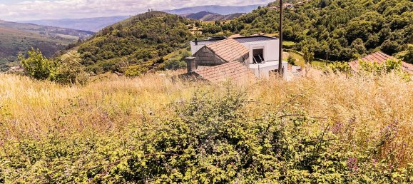 1 bedroom House in Baiao, Portugal No. 20031 19