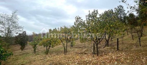 2 Schlafzimmer Haus in Pianoro, Italy, Nr. 215367 12