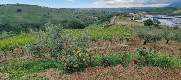 Вилла с 9 комнатами в Читта Сант Анджело, Италия № 98230 15