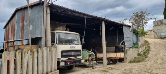 Вилла с 9 комнатами в Читта Сант Анджело, Италия № 98230 17