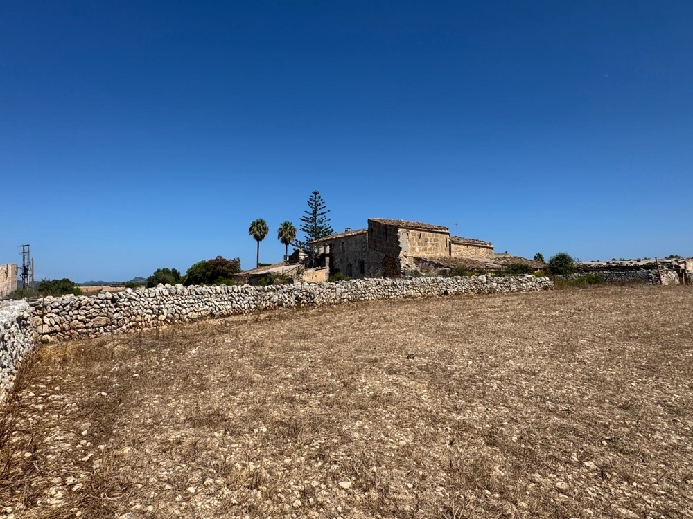  Land in Manacor, Spain No. 172615