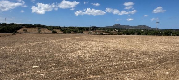  Land in Manacor, Spain No. 172615 5