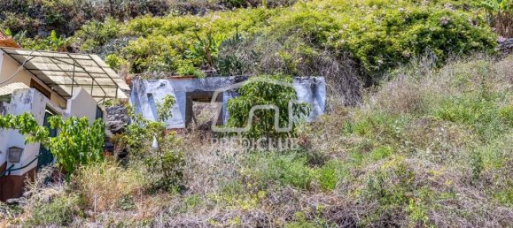 Terreno em Ribeira Brava, Portugal 24 m² N.º 244258 8