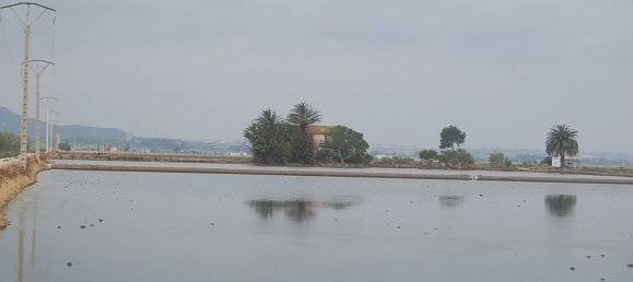 Terreno em Amposta, Spain 158 m² N.º 24978 9