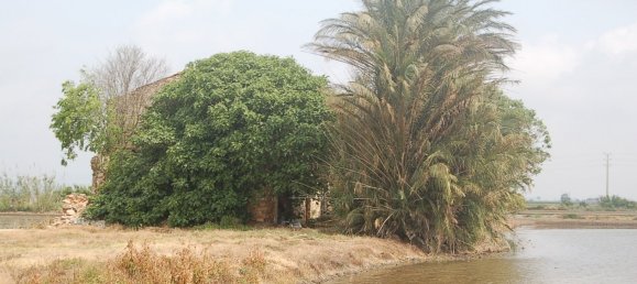 Terreno em Amposta, Spain 158 m² N.º 24978 4