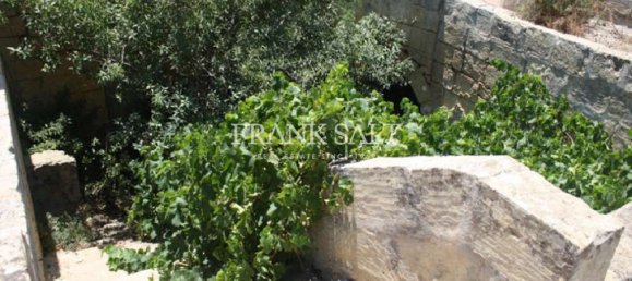  مزرعة في Xaghra, Malta رقم 518 3