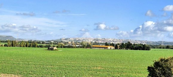 3 rooms Apartment in Tarquinia, Italy No. 143817 2