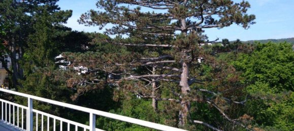 5-Zimmer Doppelhaus in Döbling, Austria, Nr. 158957 2