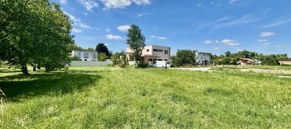 Terrain à Neusiedl am See, Austria No. 127783 3