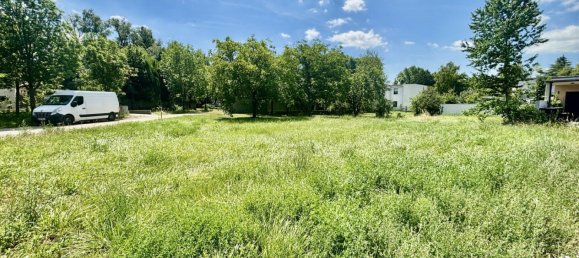 Terrain à Neusiedl am See, Austria No. 127783 2