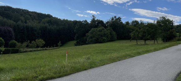 Terreno em Pinkafeld, Austria 6000 m² N.º 46435 2