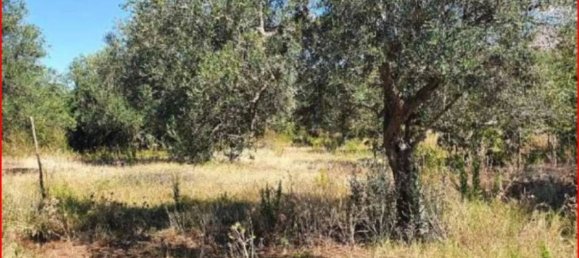 Terreno em Partinico, Italy 5604 m² N.º 306817 2