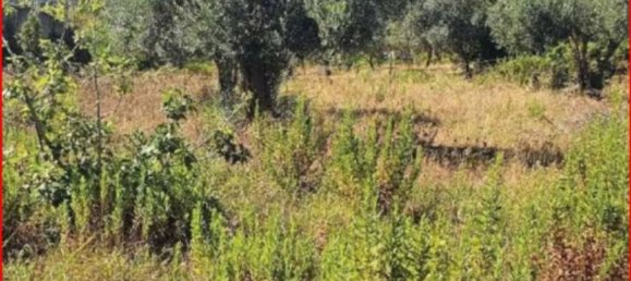 Terreno em Partinico, Italy 5604 m² N.º 306817 3