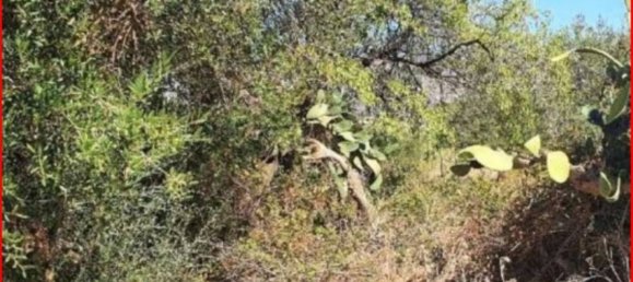 Terreno em Partinico, Italy 5604 m² N.º 306817 9