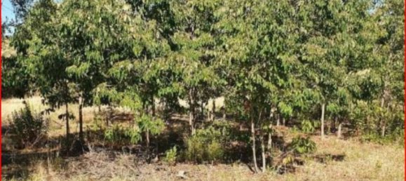 Terreno em Partinico, Italy 5604 m² N.º 306817 6