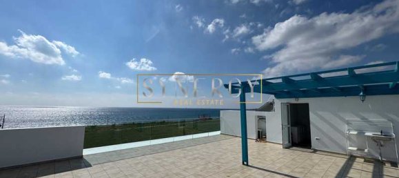 Imóvel comercial T4 em Agios Theodoros, Cyprus N.º 20455 12