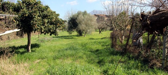 Дом с 4 комнатами в Дуджента, Италия № 80405 5