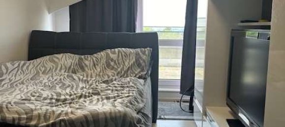 10-salle Bâtiment à Pforzheim, Germany No. 35301 10