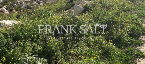 Terreno en Marsaskala, Malta No. 13499 4