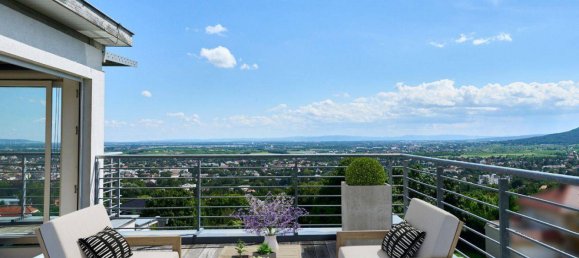 7-Zimmer Haus in Baden, Austria, Nr. 218106 20