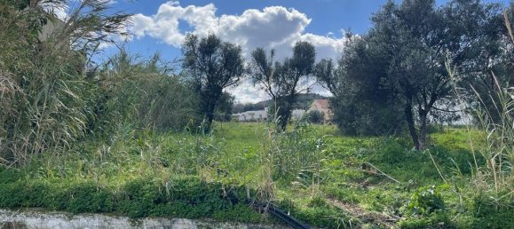 4112m² terrain à vendre à Platanias, Chania, Crete, Greece № 93278 2