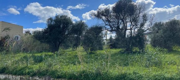 4112m² terrain à vendre à Platanias, Chania, Crete, Greece № 93278 4