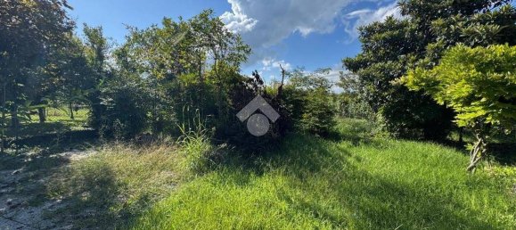 3 Schlafzimmer Villa in Due Carrare, Italy, Nr. 341646 3