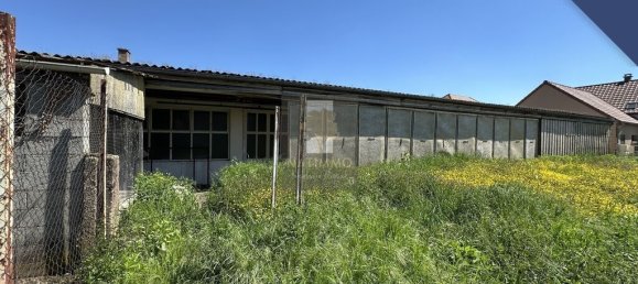 4غرفة شقة في Bas-Rhin, France رقم 281026 5