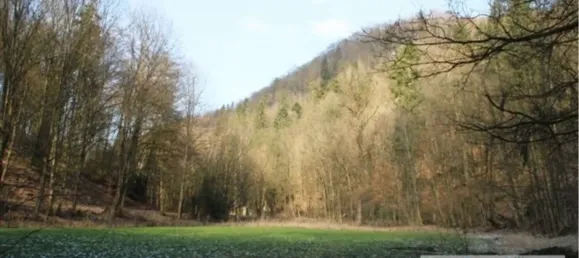 Casa de 4 dormitorios en Kulmbach, Germany No. 190933 4