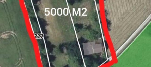 1 غرف نوم منزل في Herry, France رقم 239577 11