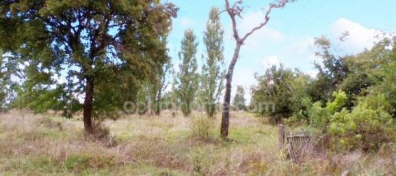 1 غرف نوم منزل في Herry, France رقم 239577 10