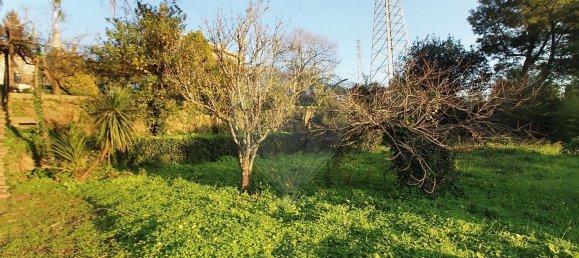 1 bedroom House in Vila Nova de Gaia, Portugal No. 187099 6