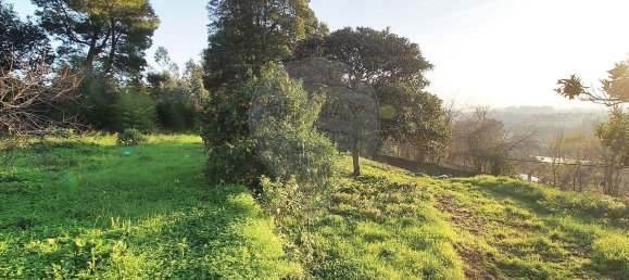 1 bedroom House in Vila Nova de Gaia, Portugal No. 187099 7