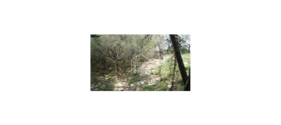  قطعة أرض في Ferreries, Spain 2375متر مربع رقم 1950 3