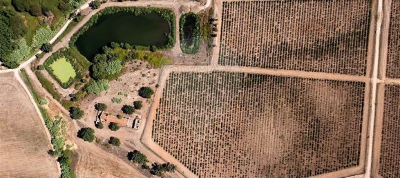 9 bedrooms Castles in Cabecao, Portugal No. 69711 8