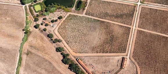 9 bedrooms Castles in Cabecao, Portugal No. 69711 6