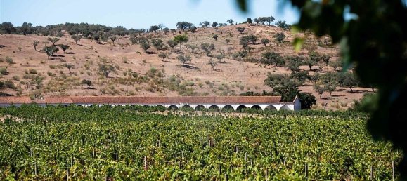 9 bedrooms Castles in Cabecao, Portugal No. 69711 15