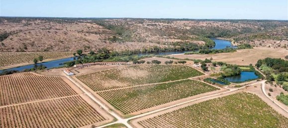 9 bedrooms Castles in Cabecao, Portugal No. 69711 17