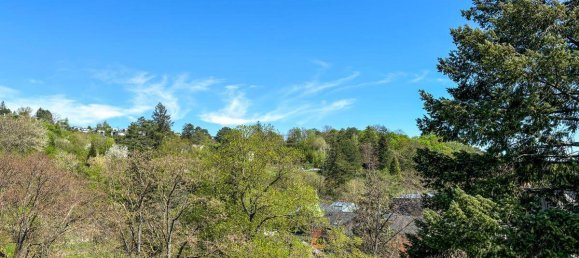 8 rooms House in Dobling, Austria No. 157176 10