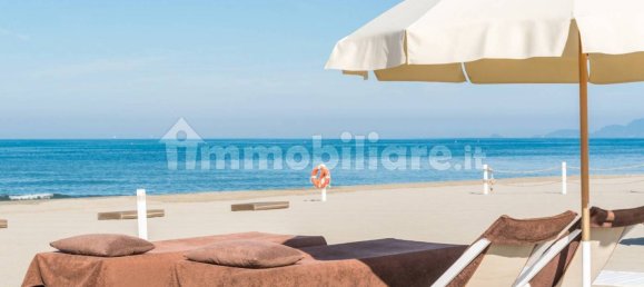 3 bedrooms Apartment in Forte dei Marmi, Italy No. 189628 27
