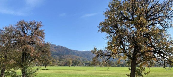 3غرفة شقة في Kirchdorf an der Krems, Austria رقم 129678 14