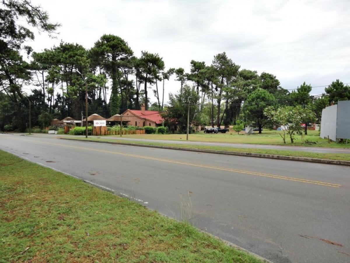 Terrain à Maldonado, Uruguay No. 15301