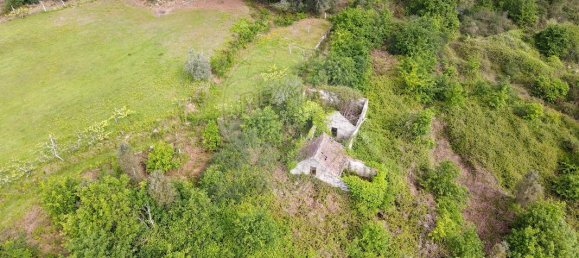 9 chambres Maison à Marco de Canaveses, Portugal No. 45251 8