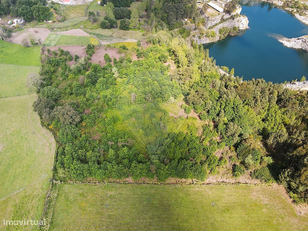 9 chambres Maison à Marco de Canaveses, Portugal No. 45251