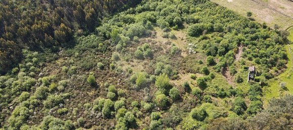 9 chambres Maison à Marco de Canaveses, Portugal No. 45251 4